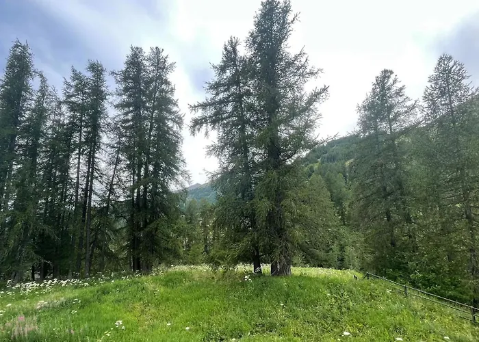 Apartment Cosy Au Pied Des Pistes - L'eterlou Allos